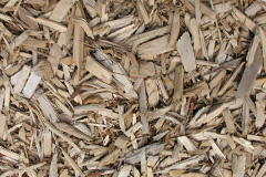 biomass boilers Nastend