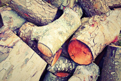 Nastend wood burning boiler costs